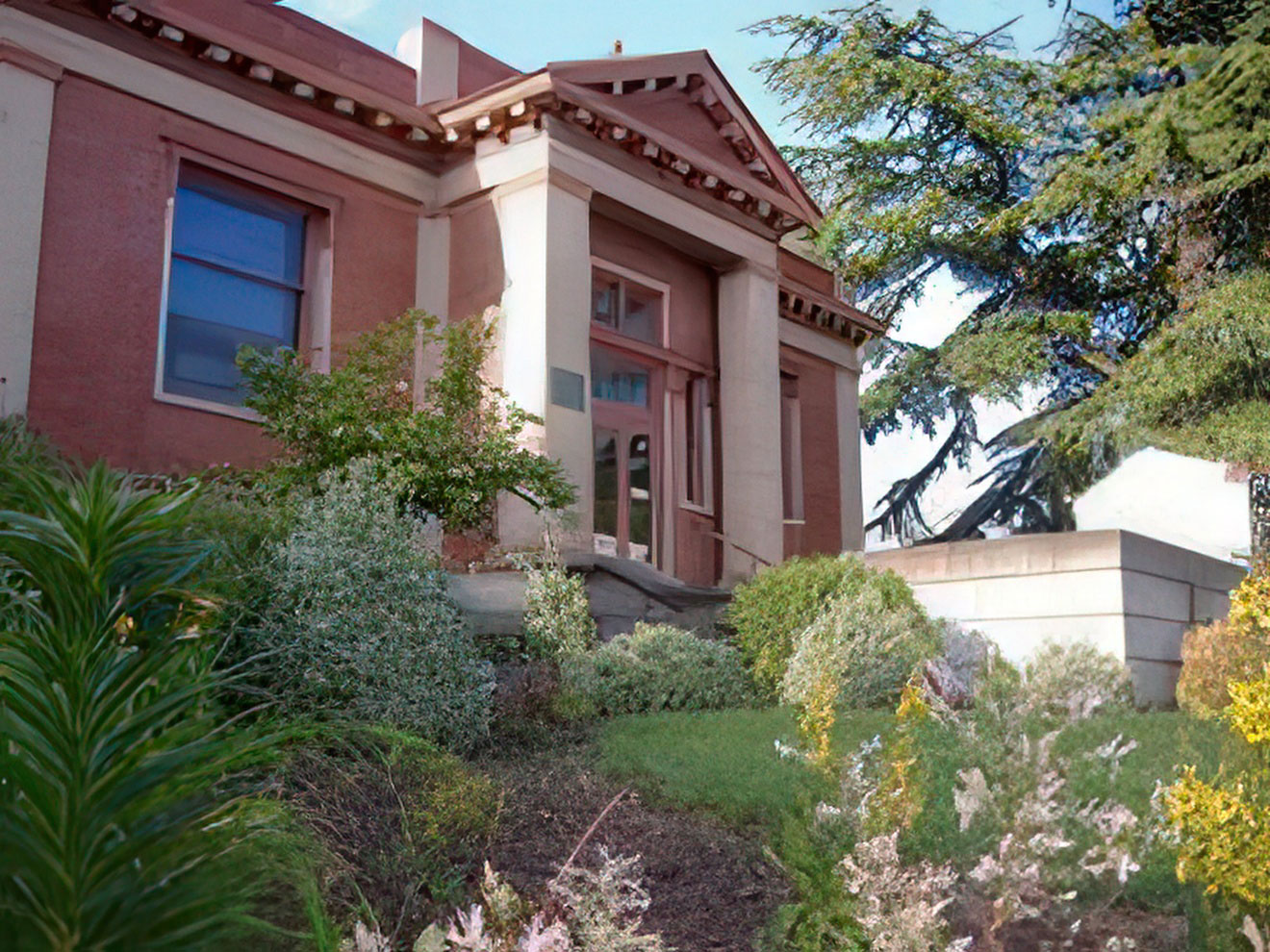 LibraryFlowers---Newberg-Public-Library-gigapixel-low-resolution-v2-6x